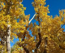 10.21.25 Convict Lake - Amanda Carlson, Mono County Tourism