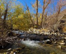 10.27.25 Convict Creek - Amanda Carlson, Mono County Tourism