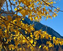 10.27.25 Convict Area - Amanda Carlson, Mono County Tourism