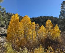 10.27.25 Lower Rock Creek - Amanda Carlson, Mono County Tourism