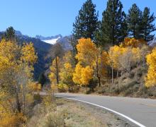 10.27.25 Lower Twin Lakes Bridgeport - Emily Bryant, Mono County Tourism
