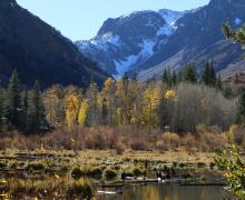 10.27.25 Lundy Canyon - Emily Bryant, Mono County Tourism