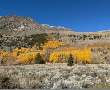 10.28.25 June Lake Loop - Amanda Carlson, Mono County Tourism