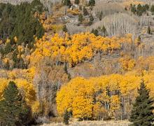 10.28.25 June Lake Loop - Amanda Carlson, Mono County Tourism