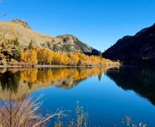 10.28.25 Silver Lake - Amanda Carlson, Mono County Tourism