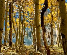 10.28.25 Silver Lake - Amanda Carlson, Mono County Tourism