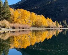 10.28.25 Silver Lake - Amanda Carlson, Mono County Tourism