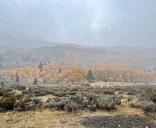 10.29.24 June Lake Loop by Amanda Carlson with Mono County Tourism