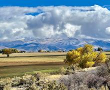 10.29.24 Topaz Lake by Amanda Carlson with Mono County Tourism