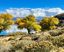 10.29.24 Topaz Lake by Amanda Carlson with Mono County Tourism