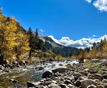 10.29.24 Walker River by Amanda Carlson with Mono County Tourism