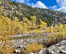 10.29.24 Walker River by Amanda Carlson with Mono County Tourism