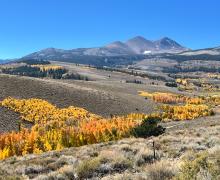 10.3.24 Dunderberg by Amanda Carlson with Mono County Tourism