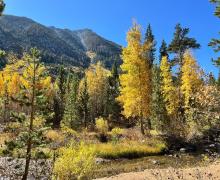 10.3.24 Green Creek by Amanda Carlson with Mono County Tourism