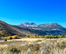 10.3.24 Green Creek by Amanda Carlson with Mono County Tourism