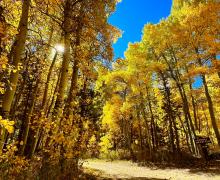 10.3.24 Green Creek by Amanda Carlson with Mono County Tourism