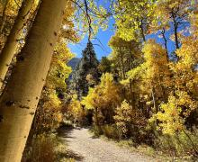 10.3.24 Green Creek by Amanda Carlson with Mono County Tourism