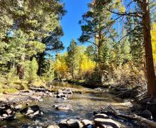 10.3.24 Green Creek by Amanda Carlson with Mono County Tourism