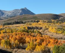 10.5.26 Conway Summit - Amanda Carlson, Mono County Tourism