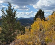 10.5.26 Monitor Pass - Amanda Carlson, Mono County Tourism