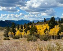10.5.26 Monitor Pass - Amanda Carlson, Mono County Tourism