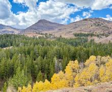10.5.26 Sonora Pass - Amanda Carlson, Mono County Tourism