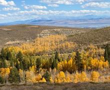 10.5.26 Virginia Lakes - Amanda Carlson, Mono County Tourism