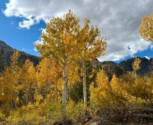 10.5.26 Virginia Lakes - Amanda Carlson, Mono County Tourism