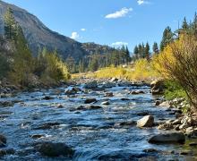 10.5.26 Walker River - Amanda Carlson, Mono County Tourism