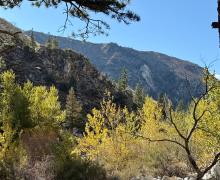 10.5.26 Walker River - Amanda Carlson, Mono County Tourism