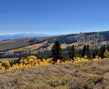 10.06.25 Dunderberg Meadow Road - Emily Bryant, Mono County Tourism