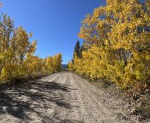10.06.25 Dunderberg Meadow Road - Emily Bryant, Mono County Tourism