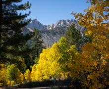10.06.25 Lee Vining Canyon - Kim Espinosa, Mammoth Lakes Tourism