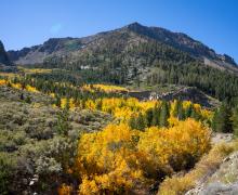 10.06.25 Tioga Pass - Kim Espinosa, Mammoth Lakes Tourism