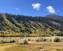 10.06.25 Green Creek- Emily Bryant, Mono County Tourism