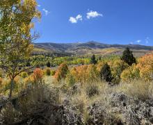10.06.25 Upper Summers Road - Emily Bryant, Mono County Tourism