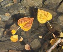10.6.26 Convict Lake - Mono County Tourism, Liz Grans