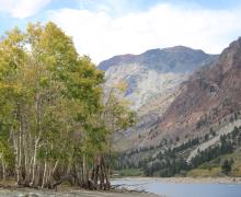 10.7.24 Lundy Lake fall colors