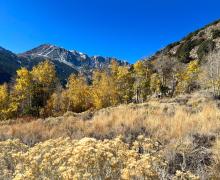 11.4.24 Lee Vining Canyon by Amanda Carlson with Mono County Tourism