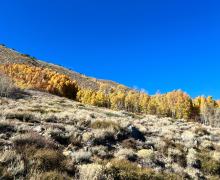 11.4.24 June Lake Loop by Amanda Carlson with Mono County Tourism