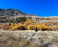 11.4.24 June Lake Loop by Amanda Carlson with Mono County Tourism