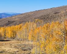 10.15.24 Lobdell Lake - Marcella Rose, Mono County Tourism 2 fall colors