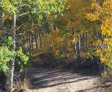 10.15.24 Lobdell Lake - Marcella Rose, Mono County Tourism 3 fall colors