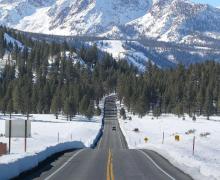 Virginia Lakes Road