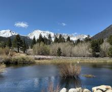 4.16.26 The Pond, Lee Vining