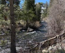 4.7.26 Rush Creek, June Lake Loop