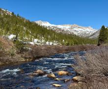 5.15.26 Lee Vining Creek along Saddle Bag Lake Road