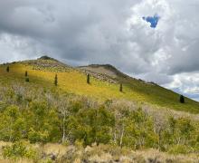 Cloudy skies over Sagehen Summit with some fall colors beginning painting the image with yellow, green and some orange.