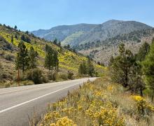 Rock Creek road with areas of yellow dotting the hillside, signaling the start of the changing of leaves.