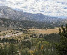 9.15.26 Leavitt Meadows - Emily Bryant, Mono County Tourism